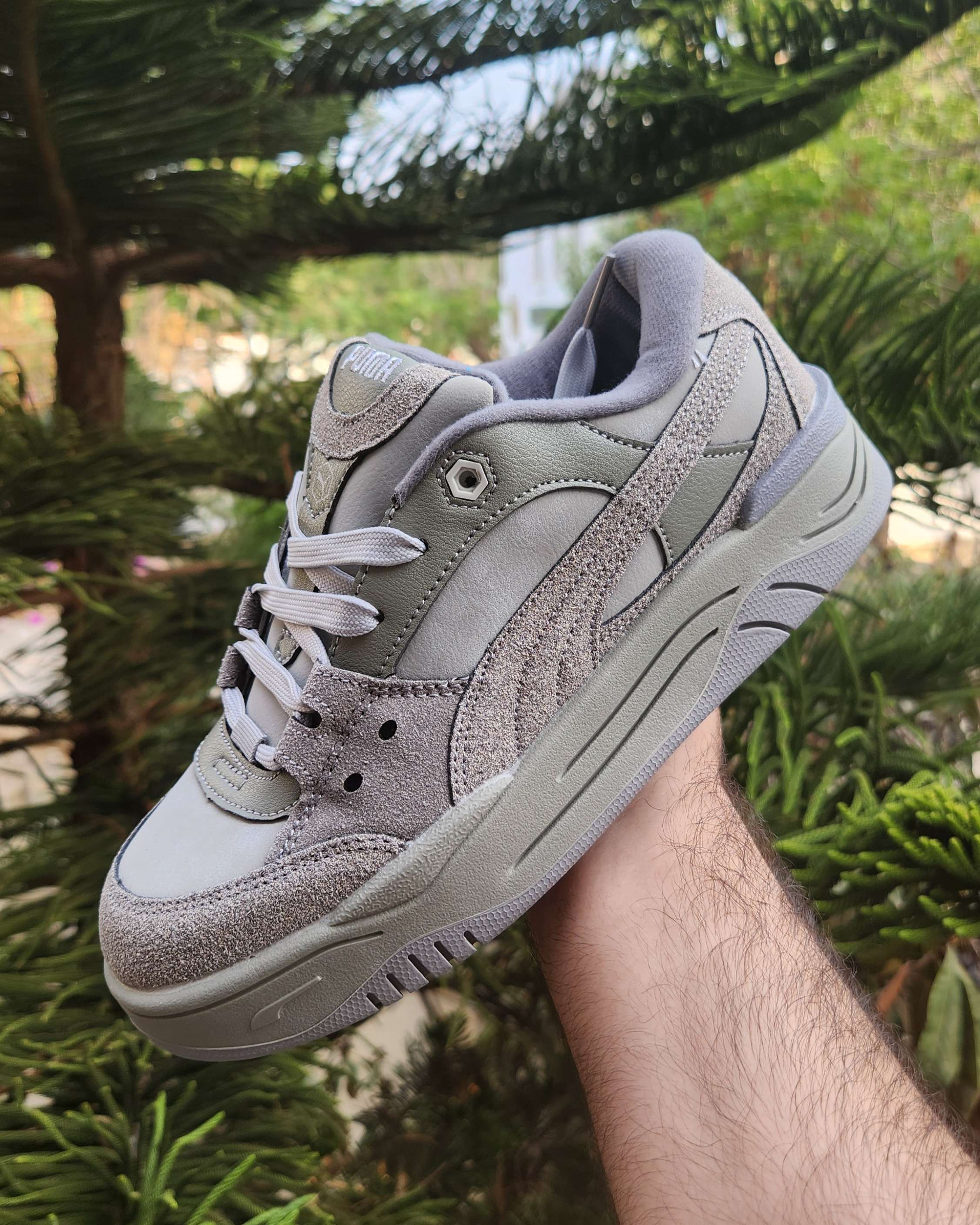 Puma 2